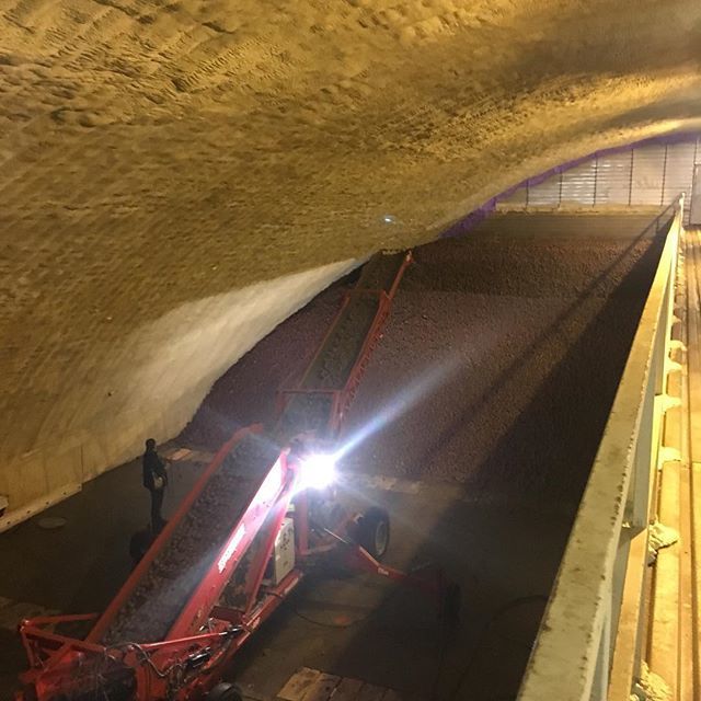 Heppell's Potato tweet media