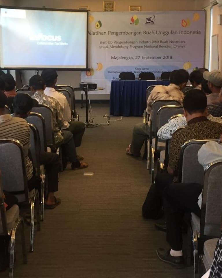 ditjen_inovasi's tweet image. Diseminasi Produk Inovasi Perguruan Tinggi &quot;Star-Up Pengembangan Bibit Buah Unggulan untuk mendukung program Nasional Revolusi Oranye&quot;

Selengkapnya : bit.ly/2xI5CXv

#inovasiindonesia #kemristekdikti