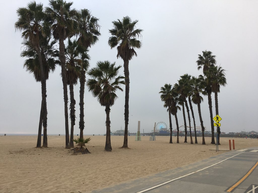 ⚡️TEAMARIZONA⚡️Sa®ah tweet media