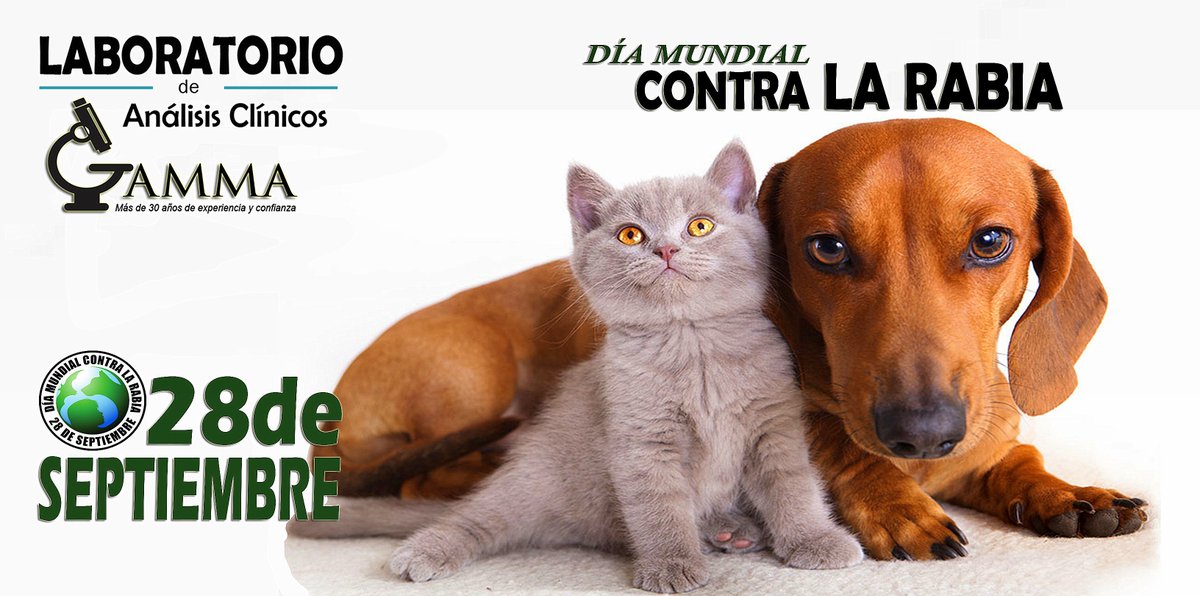 Labogamma's tweet image. El 28 de septiembre de 1895, fecha del fallecimiento de Louis Pasteur, se celebra el Día Mundial contra la Rabia (DMR), en conmemoración de sus descubrimientos en diversos campos de las ciencias naturales, la química y la microbiología... 
xurl.es/goqf6