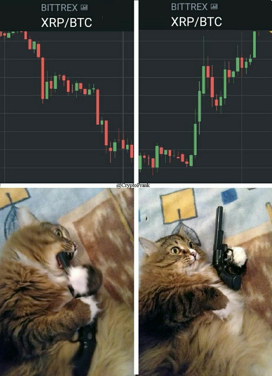 cryptomemes69's tweet photo. it's me https://t.co/IRegr5G4uN