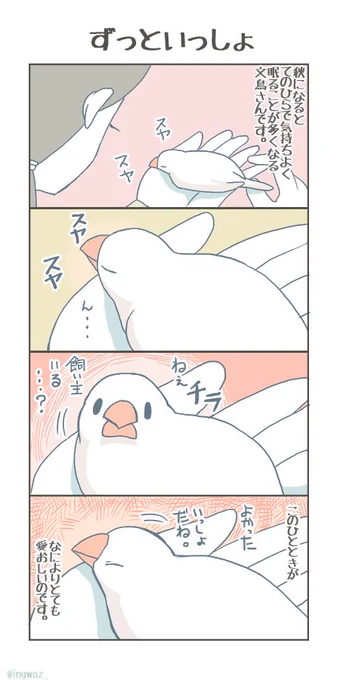ずっといっしょ。

#buncho #javasparrow #文鳥 