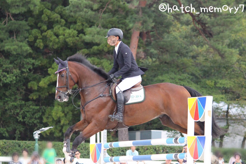 はっち 総合馬術競技で活躍されている選手の方が4段飛越でオリンピック障害の高さにチャレンジしました 馬事公苑宇都宮 馬に親しむ日 馬 Horse チャンドラー 障害馬 障害馬術競技 写真好きな人と繫がりたい T Co Ldesp5zbpf Twitter