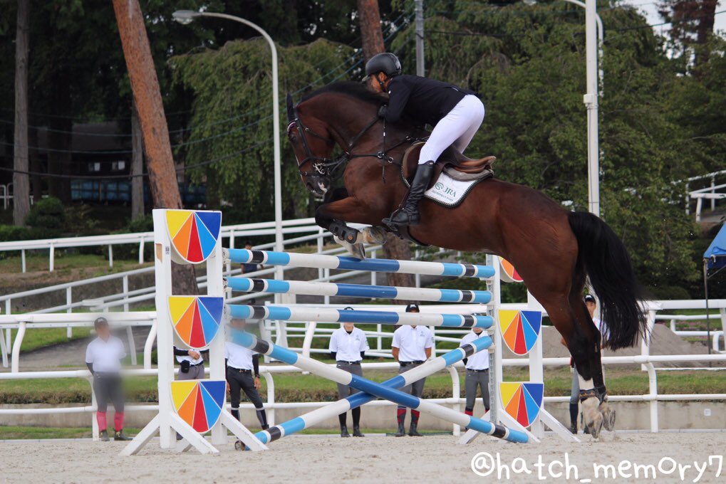 はっち 総合馬術競技で活躍されている選手の方が4段飛越でオリンピック障害の高さにチャレンジしました 馬事公苑宇都宮 馬に親しむ日 馬 Horse チャンドラー 障害馬 障害馬術競技 写真好きな人と繫がりたい T Co Ldesp5zbpf Twitter