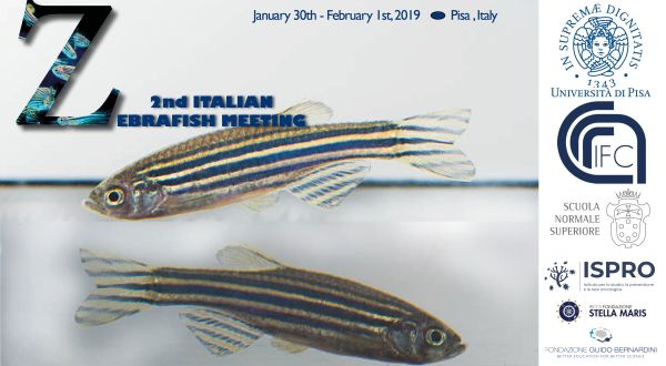 FondGBernardini's tweet photo. Dear all
Registration Underway for 2nd Italian Zebrafish Meeting, it will be held January 30th - February 1st, 2019 in Pisa, Italy https://t.co/EZhKRMlR95 https://t.co/4mr9e5wUMM