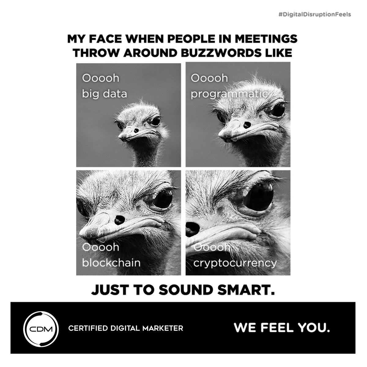 CDM_Program's tweet image. We feel you! #DigitalDisruptionFeels