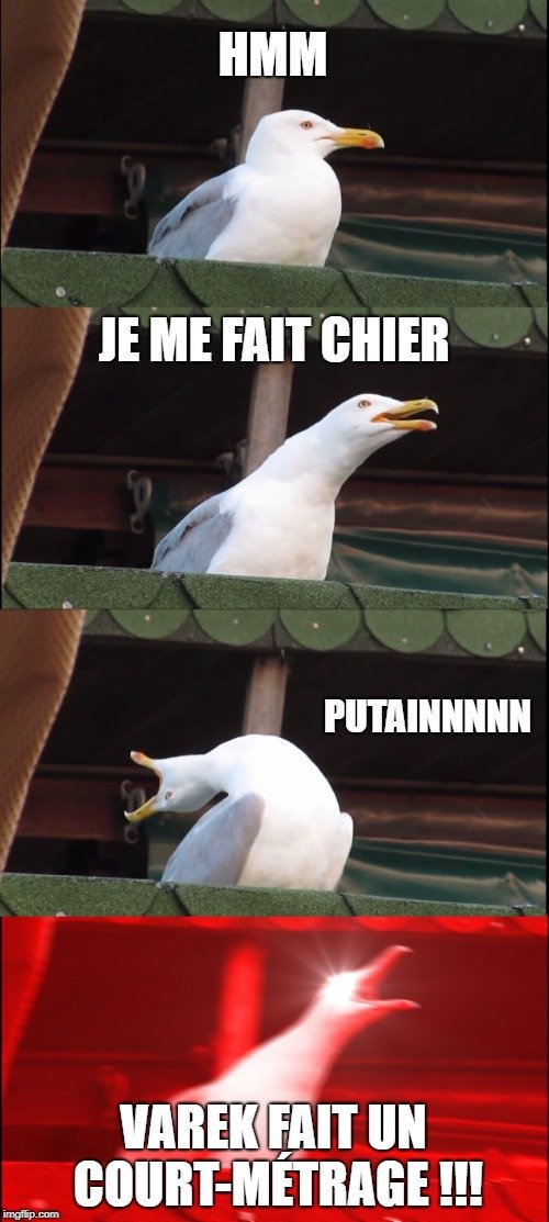 VareK_'s tweet photo. Meme reçu sur discord, ça m'a tué alors je vous le partage haha https://t.co/2mCQmNmX6I