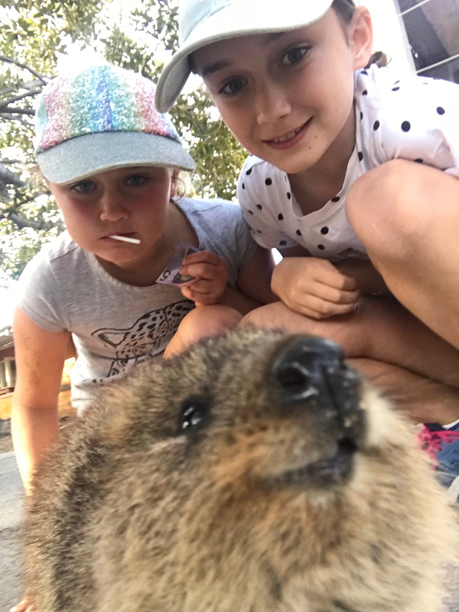 stensjr's tweet photo. This quokka remembers you ⁦@rogerfederer⁩ #rotnest https://t.co/GnwLfLsEIQ