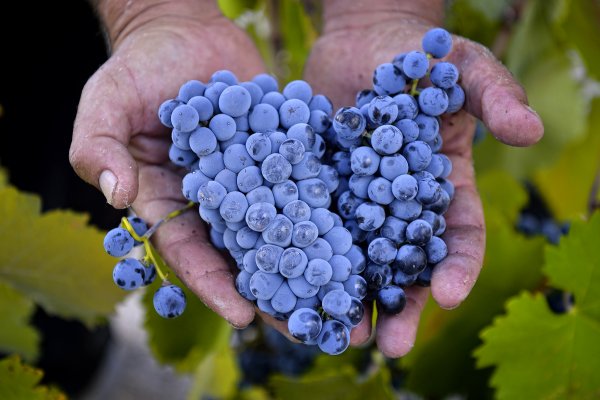 "#Jumilla, una Denominación de Origen que no entiende de fronteras".

🔸Conoce en profundidad la <a href="/RutaVinoJumilla/">Ruta del Vino Jumilla</a> y la D.O. @VinosJumilla en este precioso reportaje de <a href="/semanavi/">Semana Vitivinícola</a> 👉🏽bit.ly/2R4mgsh