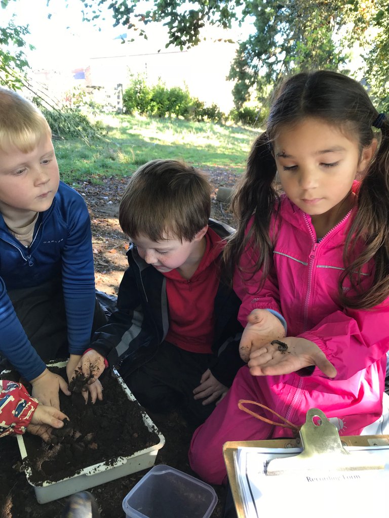 OswestrySchool's tweet photo. Year 1 took part in a worm survey at Forest School for the Earthworm Watch national science project. They collected data on the number of worms found in two different locations & tested the soil type ๐
#earthwormwatch #oswestryschool #bellanhouse #oswestry #shropshire https://t.co/GCGzrxSXXJ