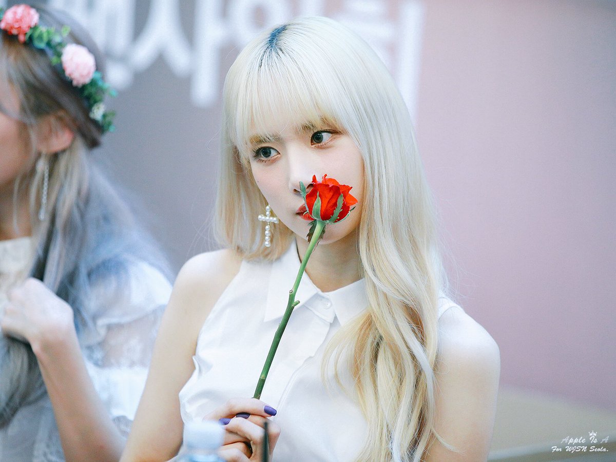 941224net's tweet photo. 180926 분당 팬싸인회 3pic

#WJSN #SEOLA 
#우주소녀 #설아
@WJSN_Cosmic

. https://t.co/T2skPbTmfX