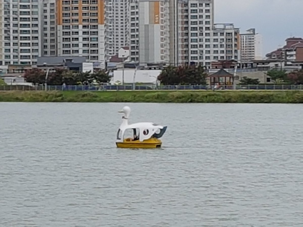 더워죽을지경이다 라고 말한게 어제같은데 시원하게 솟아오르는 분수는 벌서 추워보이네 가을은 가을인가보다
호수위에 떠있는 오리배도 오늘은 쓸쓸하고 추워보인다