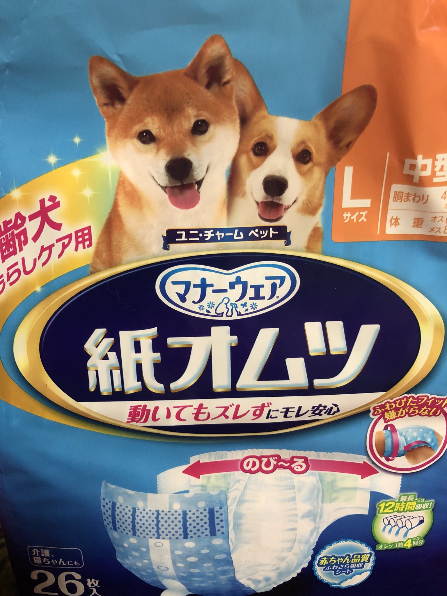 Michell 紙オムツデビュー しました 紙オムツの方が清潔だと考えたよ ストレスになるかなと思いましたが しばらく様子見してみようと思います 幸之助 寝てばかり 嫌がる気配無し 老犬生活 老犬介護 ユニチャーム ユニチャームペット