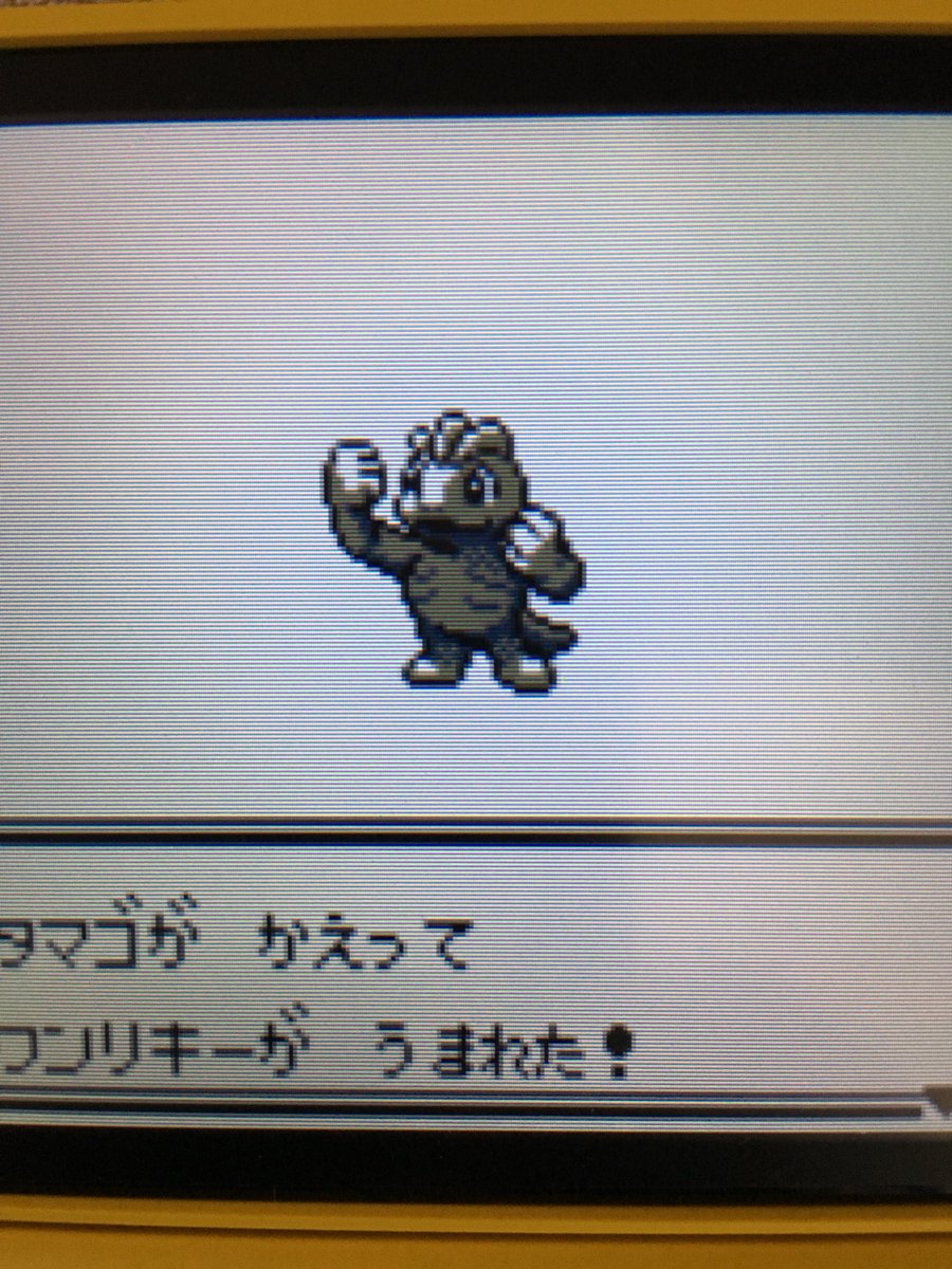 色違いポケモン紹介 Vc産ワンリキー 自由に生きてあそblog