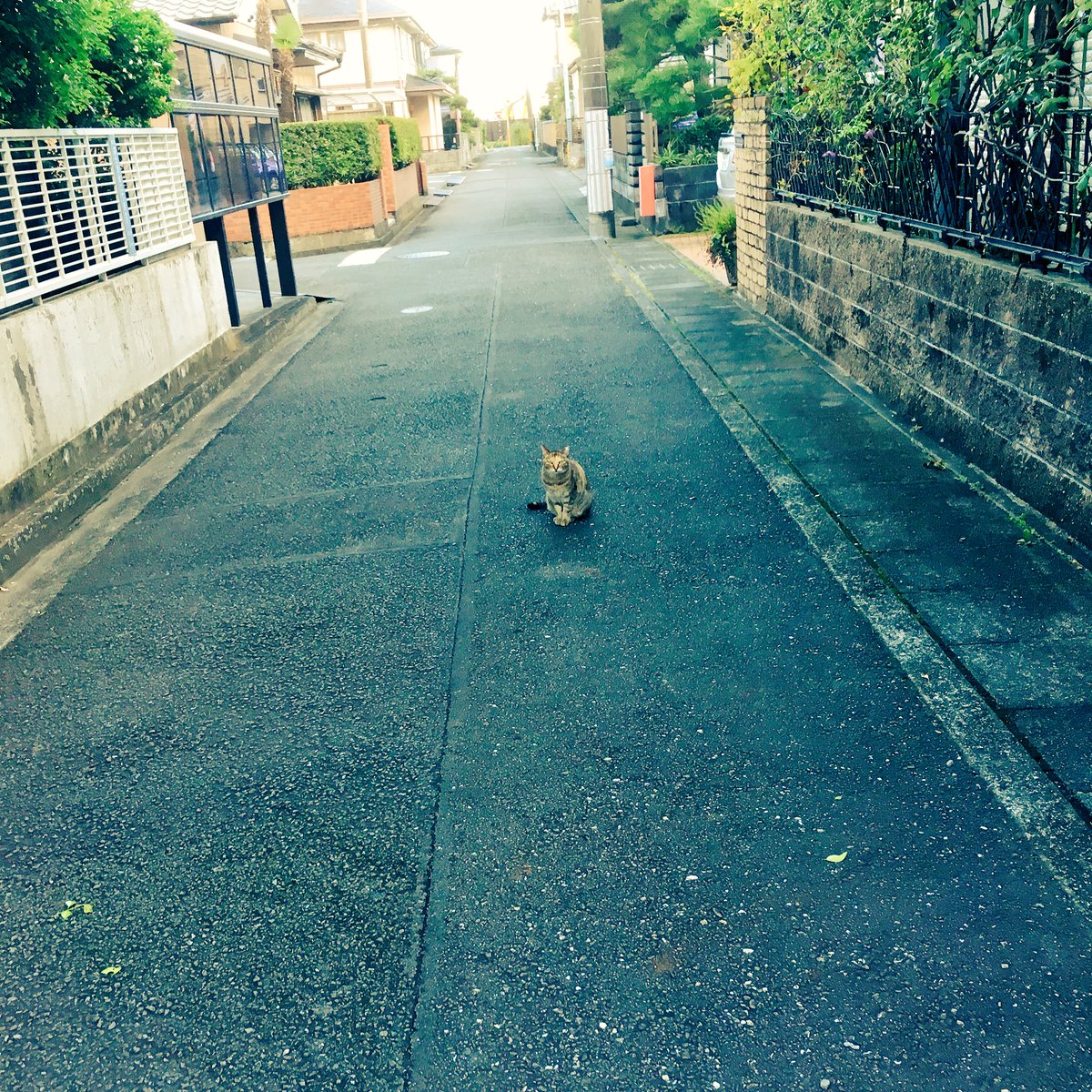 _Qogic's tweet photo. 終末の微笑 https://t.co/aB0HtiSDD7