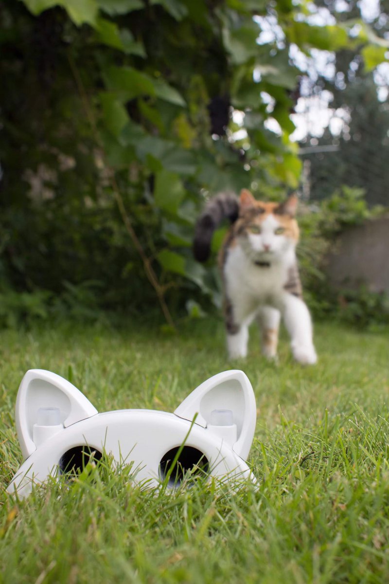 smart_mousetrap's tweet photo. Inside or out, the Smart Mouse Trap works equally successfully. You can set it in your kitchen, bedroom or garden and as soon as a rodent has been caught, get a notification to your smart phone. Sign up to our newsletter for a chance to win it! https://t.co/4RfwVnopld #micetrap https://t.co/OB4TOoNt3d