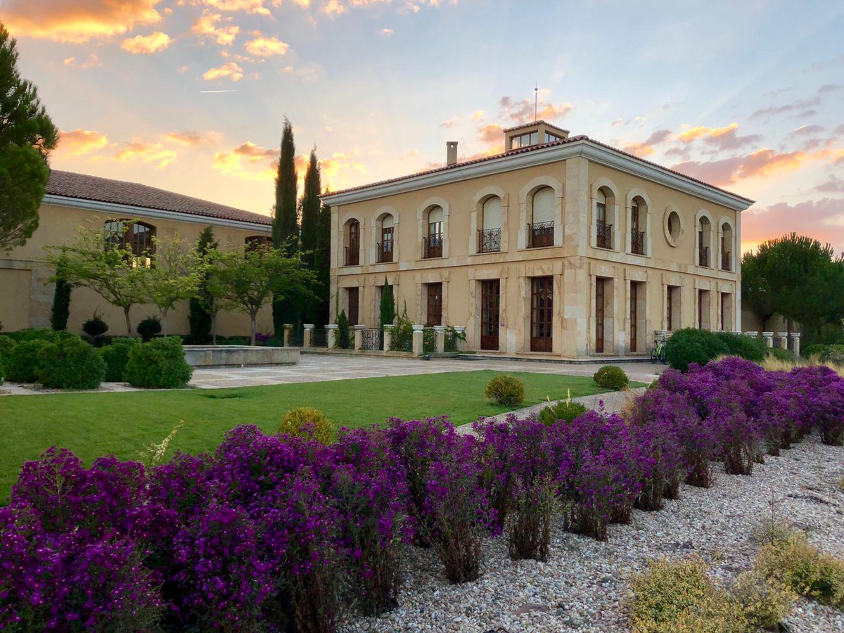 LaRiojaAltaSA's tweet photo. ¿Sabéis por qué nuestra bodega de @DORibera @RutaVinoRibera se llama Áster?
Por esta preciosa 'flor de vendimia' que luce así en nuestro jardín...
¡Qué maravilla! https://t.co/QPCdApARt6
