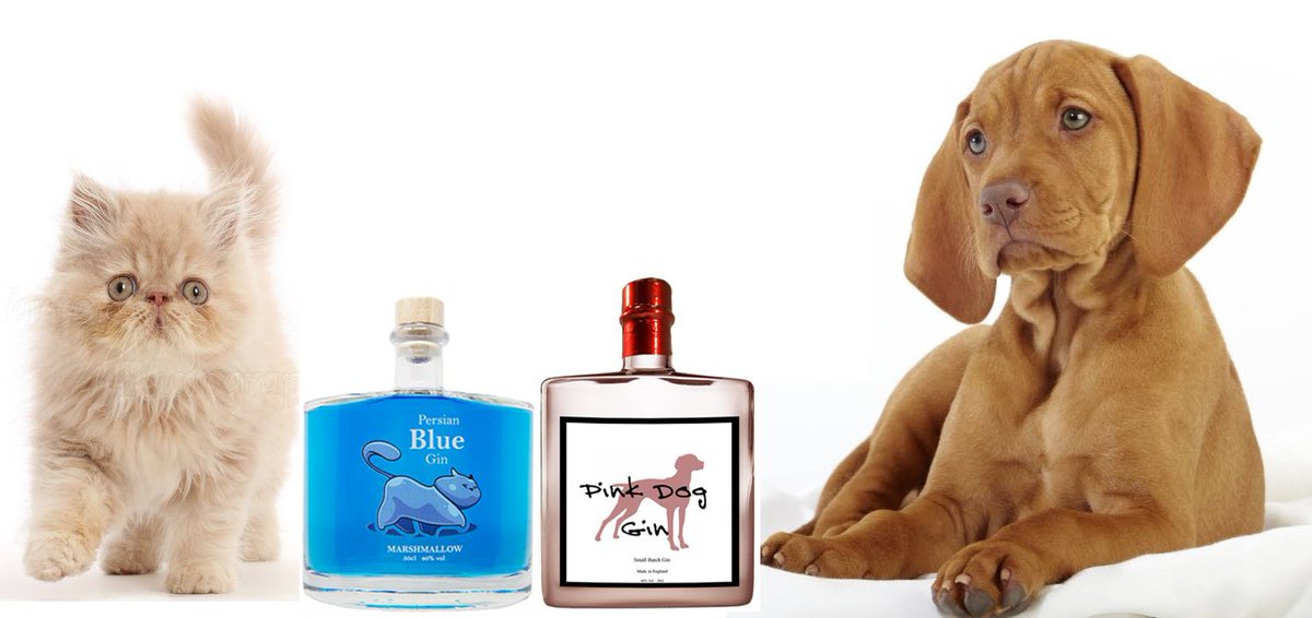 Get that #FridayFeeling, buy a Pink Dog Gin and get a 50cl bottle of Persian Blue Gin for #FreebieFriday only online at mygin.co.uk 🐱🐶😁