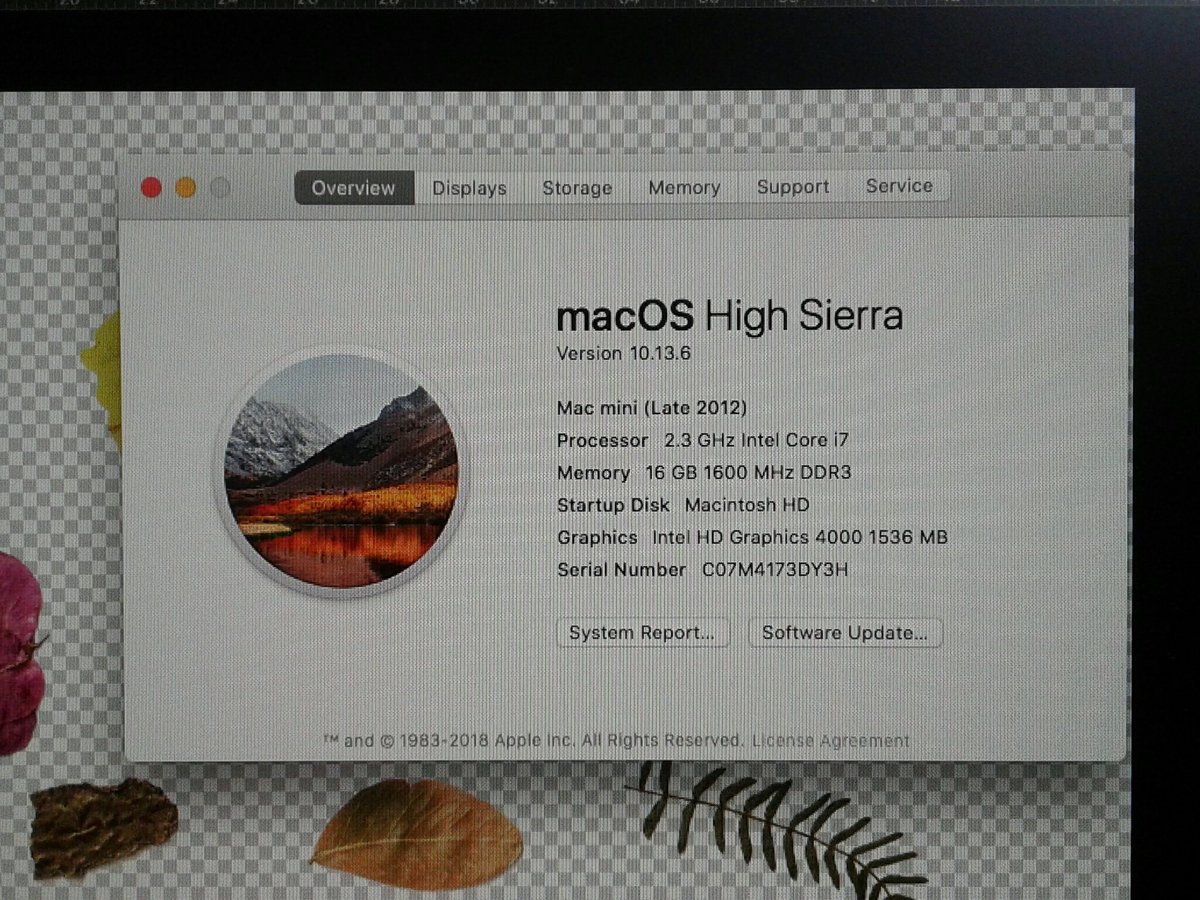 mac os high sierra 10.13.6 32 gb memory 1600 mhz mac os high sierra 10.13.6 32 gb memory 1600 mhz
