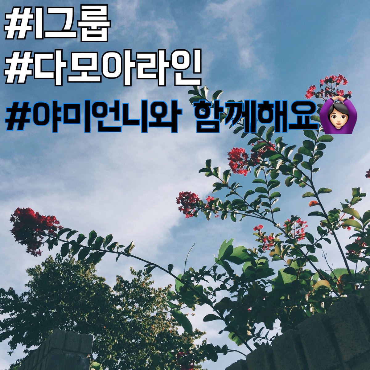 yje0620's tweet photo. ➰모든 노하우 빠짐없이 알려드려요
➰팀원들과 함께해서 든든합니다
➰정보로 돈버는 시대
➰카드빚 대출 청산
#고민하는순간 늦어요! 
진심 레알 서두르세요😊
#열정 #트위터로돈벌기 #용돈 #비상금 #두둑히 #다모아라인 https://t.co/BD7gabMb0O