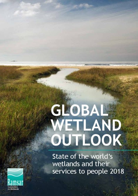 Land use policies that promote the conservation &amp; sustainable use of #wetlands are a high priority to stop the current loss of  the world's #wetlands. New #GlobalWetlandOutlook states we are losing #wetlands 3X faster than forests. bit.ly/2DAHACW <a href="/RamsarConv/">Convention on Wetlands</a>