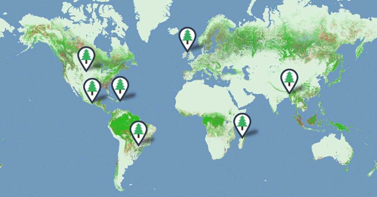 EthosComms's tweet photo. You print one. We plant one. Read how your printer can help towards #reforestation projects across the globe!  Email marketing@ethos.co.uk for more information #MPS https://t.co/JlZv2ly0hA