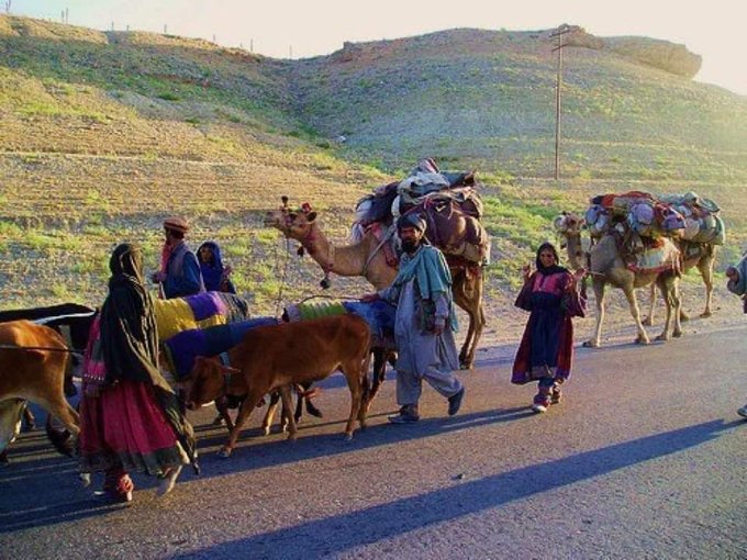 AzharuddinPat14's tweet image. خدايه کوچيان په کوچ روان کړې
چې ښايسته بدرنګې ګډې وډې شينه