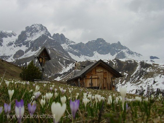 Ciclowebnet's tweet photo. Le #guide di #cicloweb, #Falcade e la conca del #Fuciade, i #passi e le #Pale
https://t.co/bg9QrWQGsz
@TurismoVeneto @DolomitesUNESCO https://t.co/AzCaCuUr5O