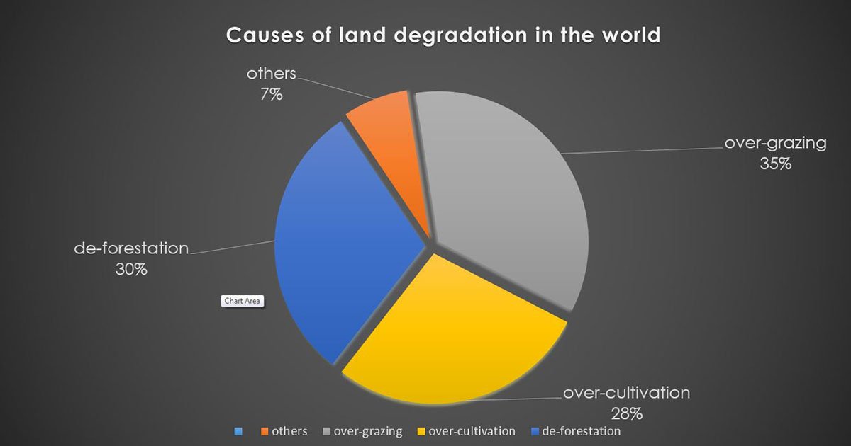 savethetreesbc's tweet photo. Deforestation makes up almost a third of the causes of land degradation on Earth. https://t.co/PcPITMRvQw