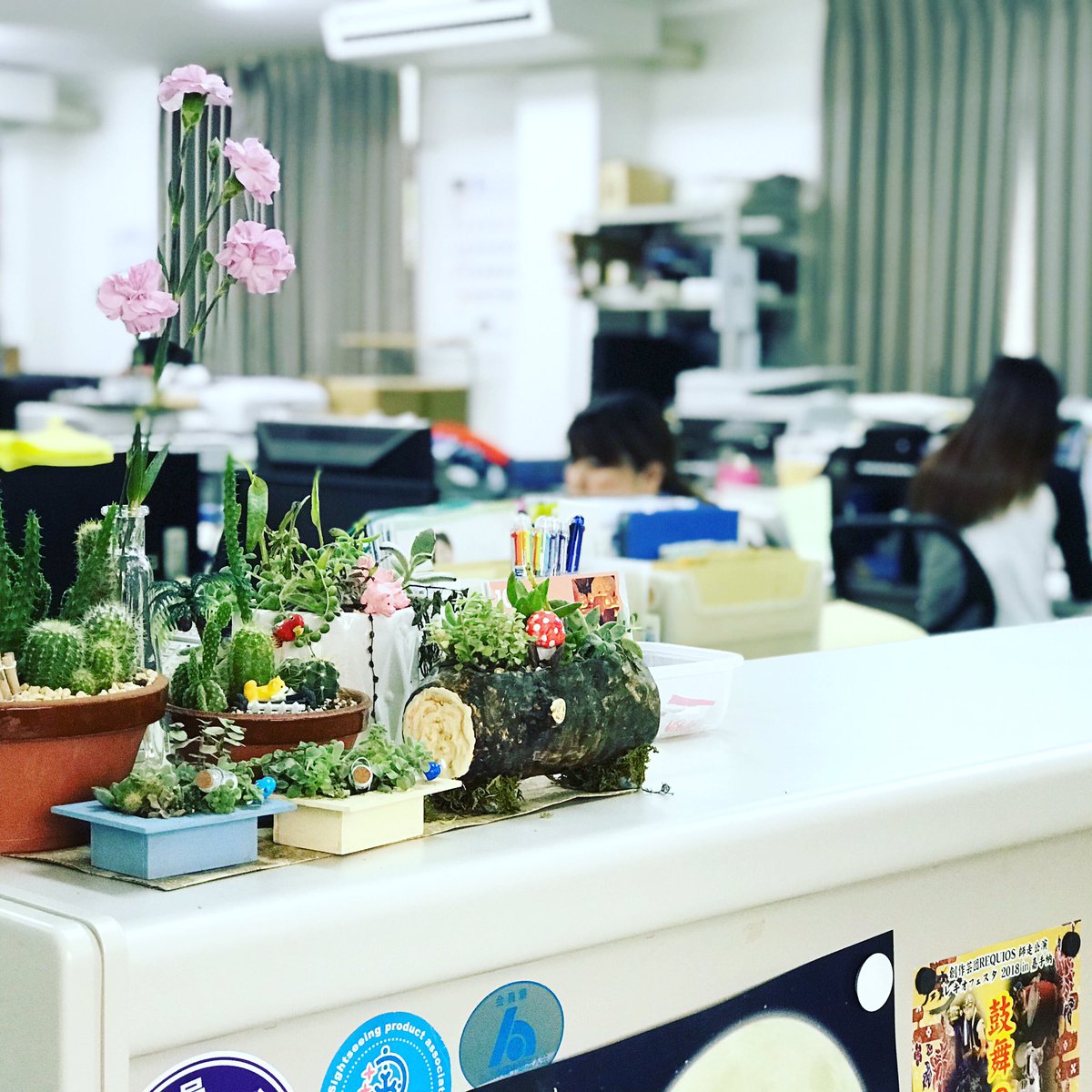 wakiboeki's tweet photo. ＜求人募集のお知らせ＞
ワコー貿易ではスタッフを募集しています。
プリント作業員
出荷作業員
一般事務
お問合せ↓↓
有限会社ワコー貿易
沖縄県うるま市勝連南風原5192-25
TEL(098)921-1200
メール　info@wako-boeki.com https://t.co/ap30F3weul