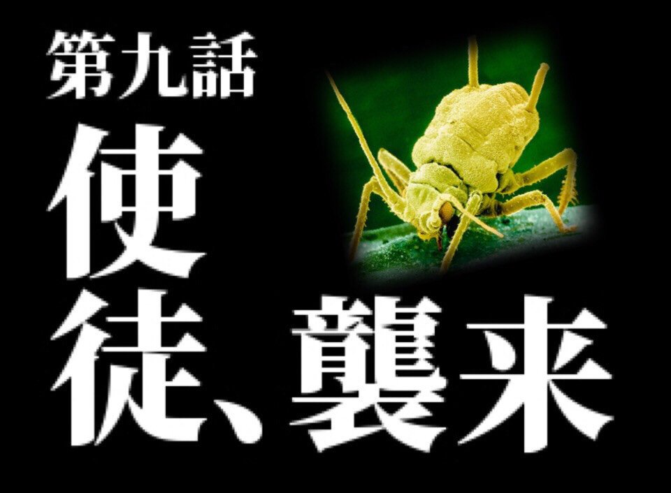 横浜カシミールチリ協会 Kashmirichilli Twitter