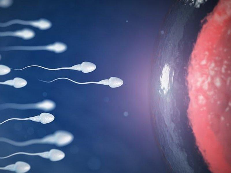 obilie-spermi-podborka-razveli-russkuyu-telku-na-seks-na-ulitse