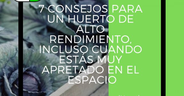iHuerting's tweet photo. 7 consejos para un huerto de alto rendimiento, incluso cuando estás muy apretado en el espacio https://t.co/M1KOvmAHl5 #iHuerting #vivetuhuerto https://t.co/TEPr1yXjGA