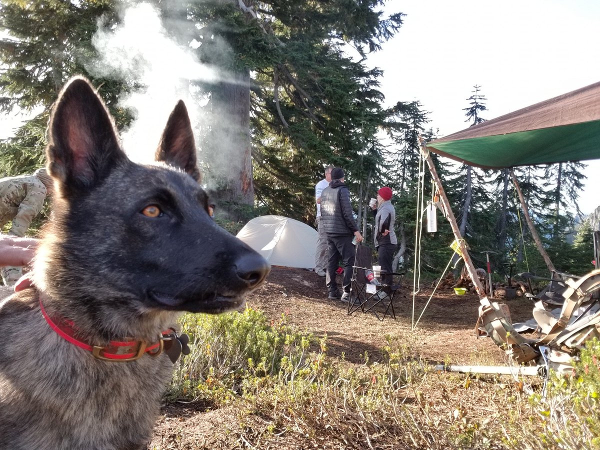 LindaDerosa1's tweet photo. OPERATION RELENTLESS PURSUIT searching for #Americasdaughter #Worldsdaughter DAY 58 of search with Raven SAR dog in hot pursuit #findsamsayers @findsamsayers https://t.co/XxnkNPo26K https://t.co/W4mnYXdpJ3