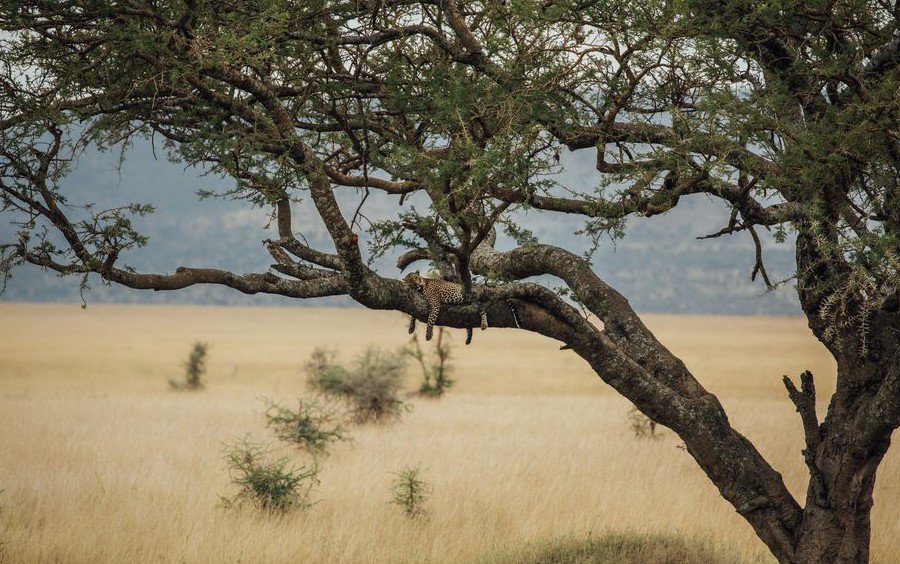 @UNWTO Happy #WorldTourismDay from #QueenElizabethNationalPark in #Uganda. #WTD2018 #WTDUG2018