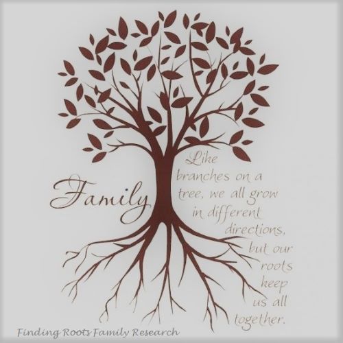 FindingRootsFR's tweet photo. https://t.co/jws3ecfwrF