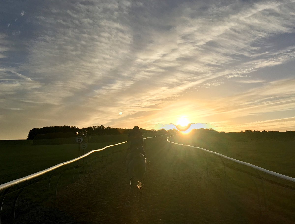 JohnWathenBerry's tweet photo. It isnโt going to be as very warm as yesterday, but itโs still shaping up as a lovely day @NewmarketGallop. Forecast high 16 degrees #WhiteValiant https://t.co/MD5Ohcbbjo