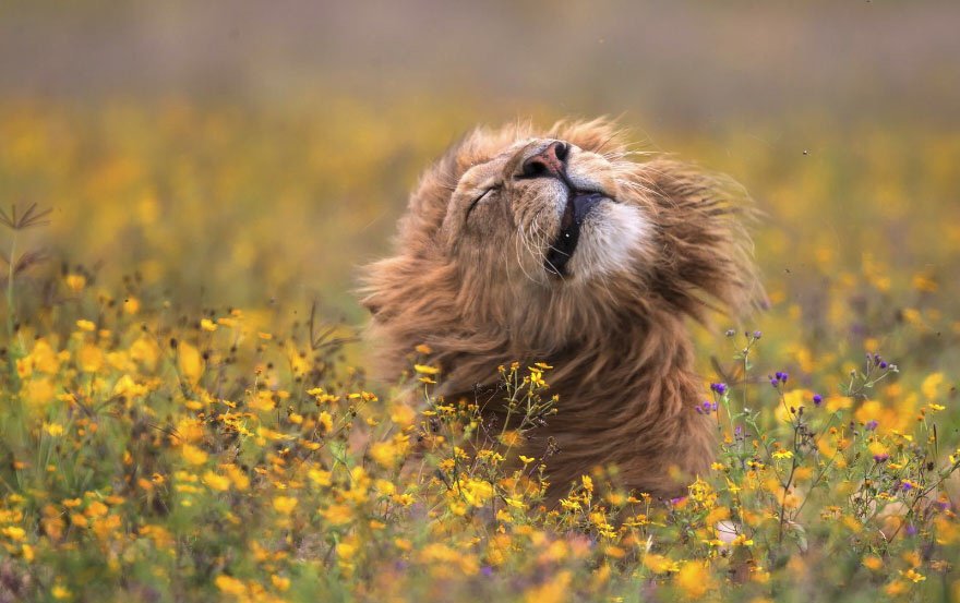 ramblingsloa's tweet photo. Happy Friday everyone.
Have a great start to your weekend 😊 https://t.co/PLuZFmUtfn