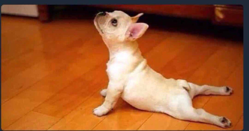 Shado_Walka's tweet image. Me before every semester:

This semester, I have to be serious with my designs. I want to finish everything

Me on presentation day:

Guy abeg make I use ur Side Elevation na, n 4 research findings. They no fit know! 
#LifeOfAnArchitectureStudent