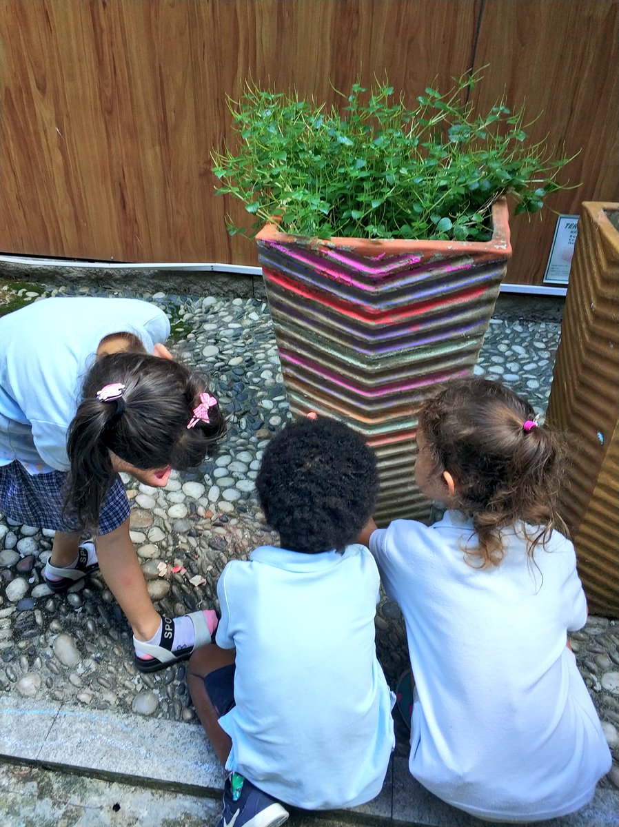 levi_allison42's tweet photo. When your students want to make the outside of your classroom as colorful on the outside as it is in the inside, you turn the music on and we go exploring shapes and textures outside. #exploration #colors #outside #chalk #FridayFeeling #WeekBreak https://t.co/o3sCeaPVt9