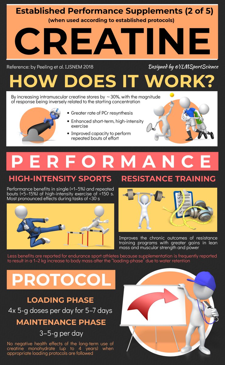 YLMSportScience tweet media