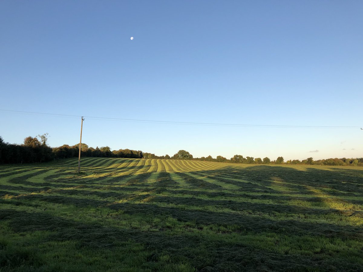 GeorgeHoward6's tweet photo. The sun, moon &amp; silage!!! #fodder18 https://t.co/kDB8tjl9a2