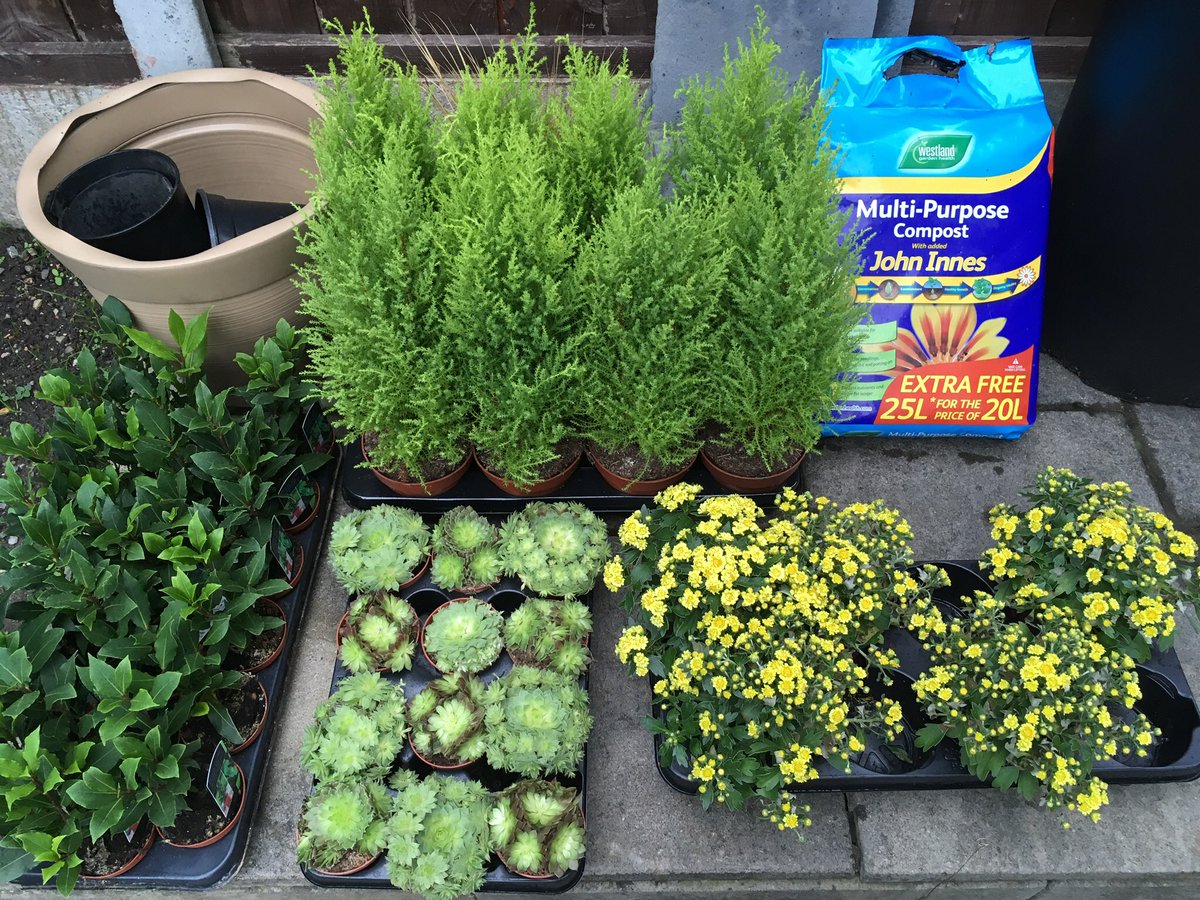 liverpooltrees's tweet photo. It’s a good time of the year to plan for spring and make changes in your garden #garden #gardeners #gardening #gardenshour #childwall #liverpooltrees #woolton #mossleyhill #aigburth #calderstones #allerton #calderstonespark #liverpool https://t.co/fg9DldYrXV