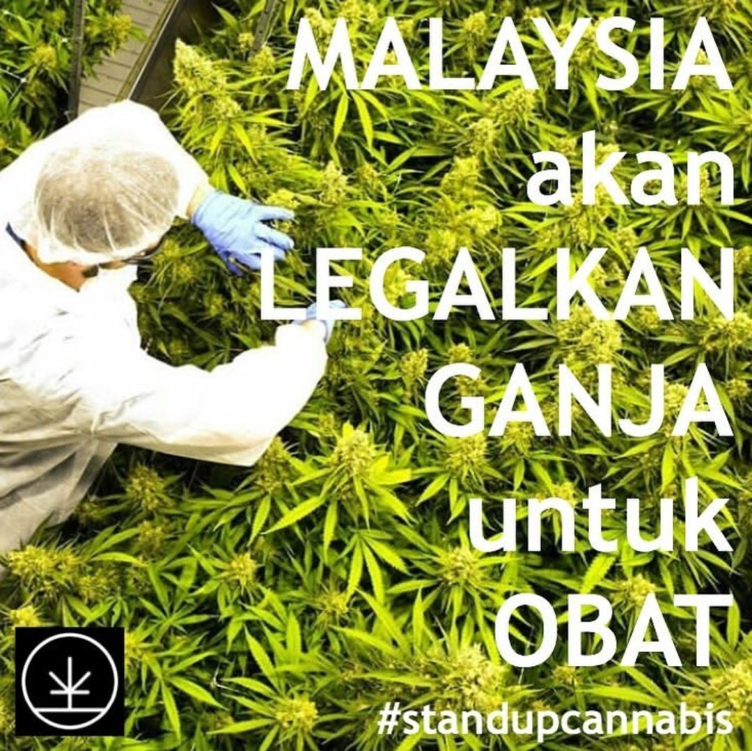 #standupcannabis
