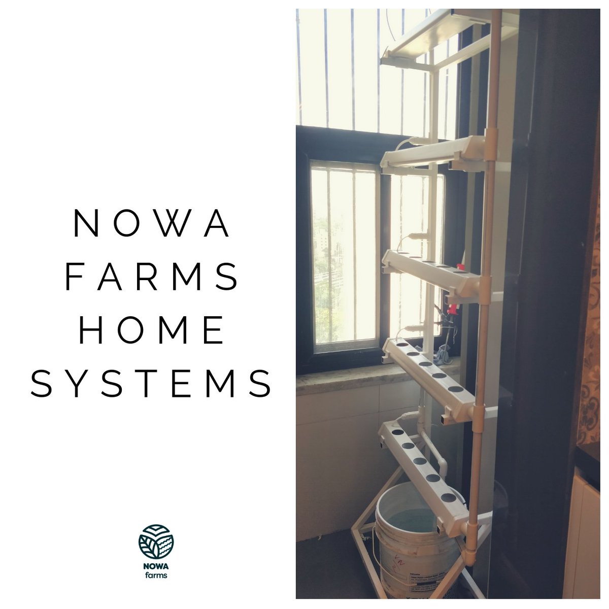 Nowa Farms (@NowaFarms) / Posts / X