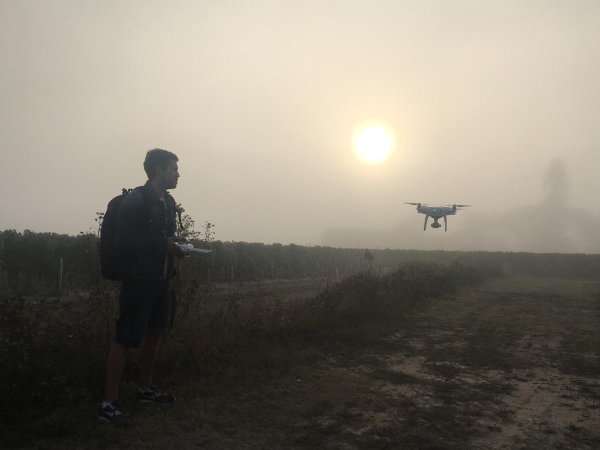Nomadic_Films's tweet photo. Capturing the harvest with our drone on a misty morning en France #allaboutthatlight #shootlife #teamnomadic 🍇🇫🇷✨ https://t.co/c5yZoTIkK8