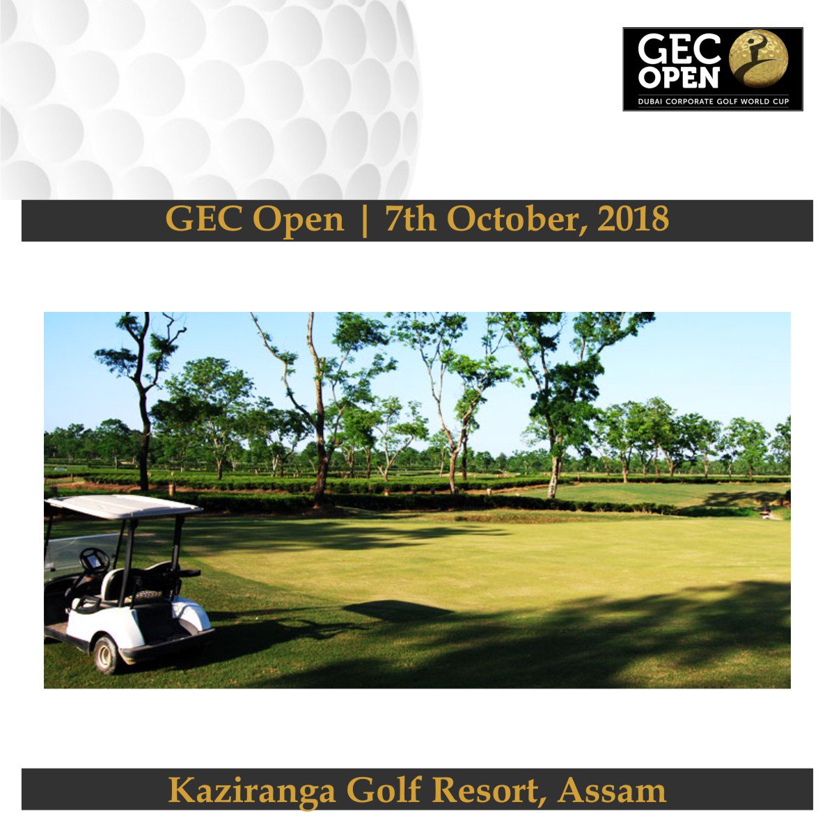 gecopenindia's tweet photo. GEC Open is Swinging in Assam.

Venu: Kaziranga Golf Resort, Assam
Date: 7th October 2018
.
.
#GECOpen #GECOpen2018 #Assam #Kaziranga #Golf #AssamGolf #GolfersofIndia #IndianGolf #Golfforlife #Swinging #GECOpenIndia https://t.co/pPDdjapR7x