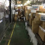 これは酷い・・・クロネコヤマトの現場最前線がブラックすぎる・・・