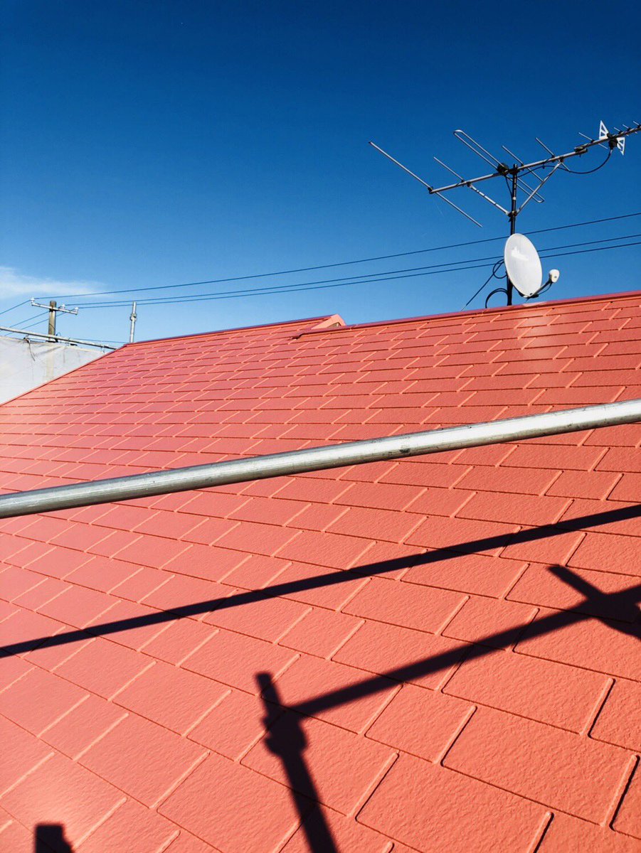 ট ইট র ハーベストオレンジ হ য শট য গ