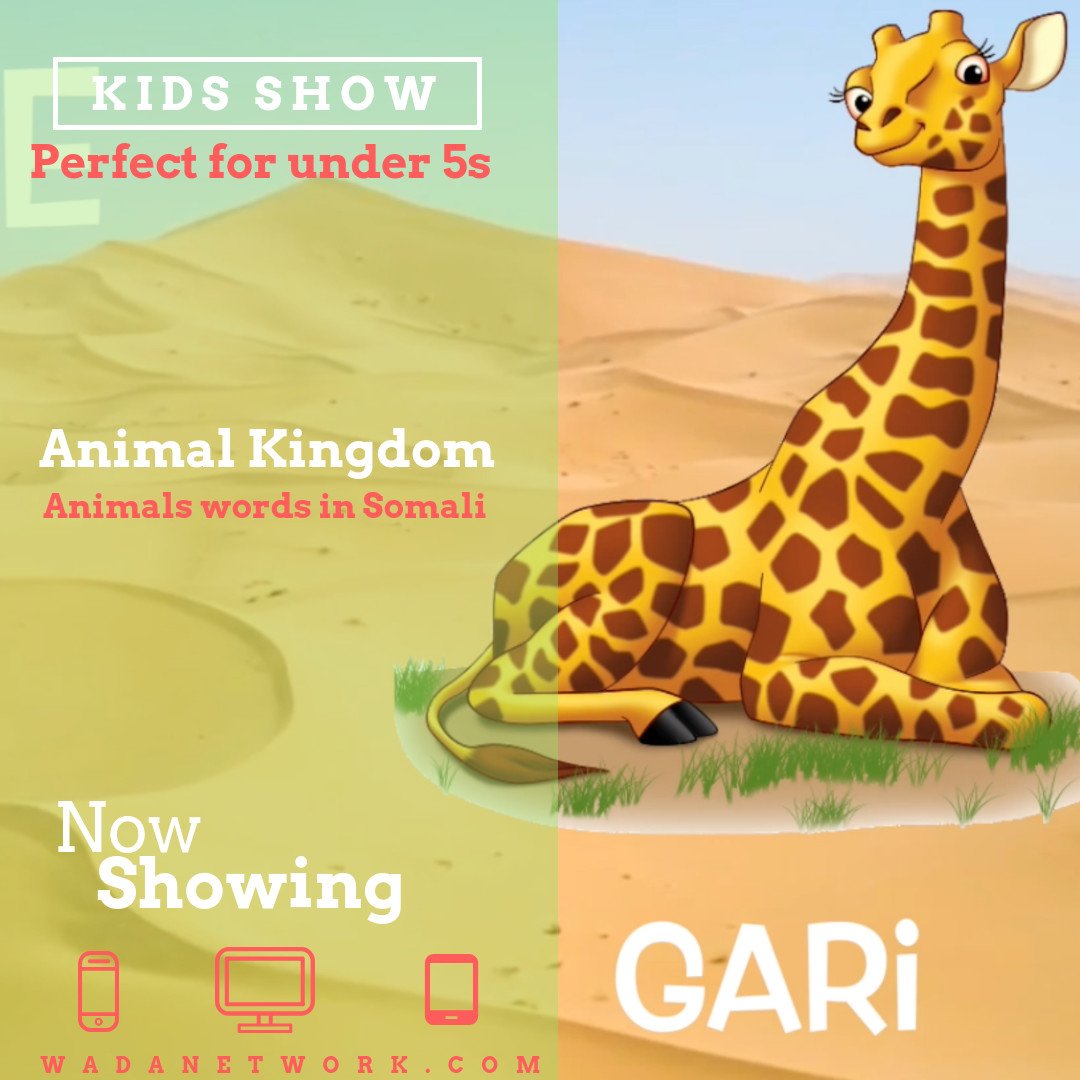121netlifeking's tweet photo. Watch "Animal Kingdom" an educational show which teaches our children the Somali language through animation. 
Exclusively on the Wada Network platform. 
Download the app now! 
📸🎥 @shotztakenmedia
.
.
.
 #wadanetwork #kidsshow #madeforus#madebyus #film #somaliexcellence https://t.co/eNTDdWLHTS